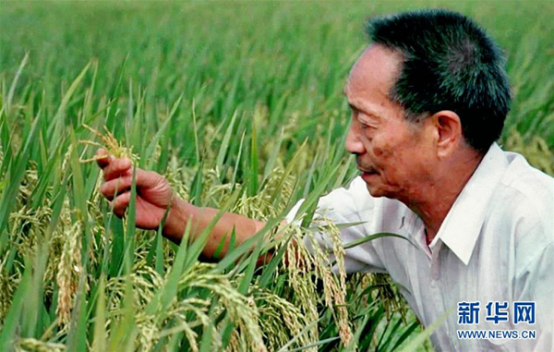 &#20122;&#32654;&#40;&#20013;&#22269;&#41;&#20307;&#32946;&#23448;&#26041;&#32593;&#31449;
